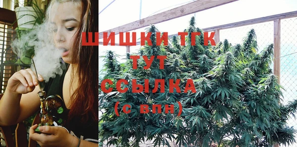 гидропоника Снежинск