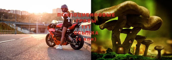 гидропоника Снежногорск