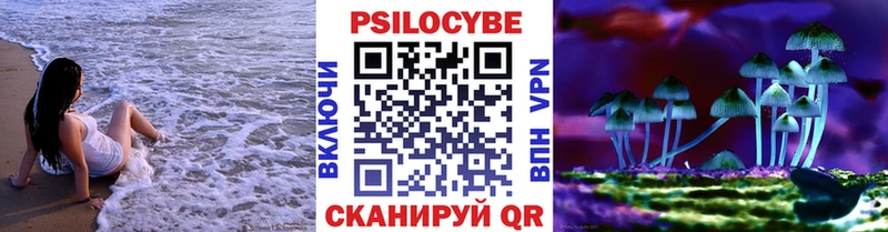 Псилоцибиновые грибы Psilocybine cubensis  Купить  Георгиевск 